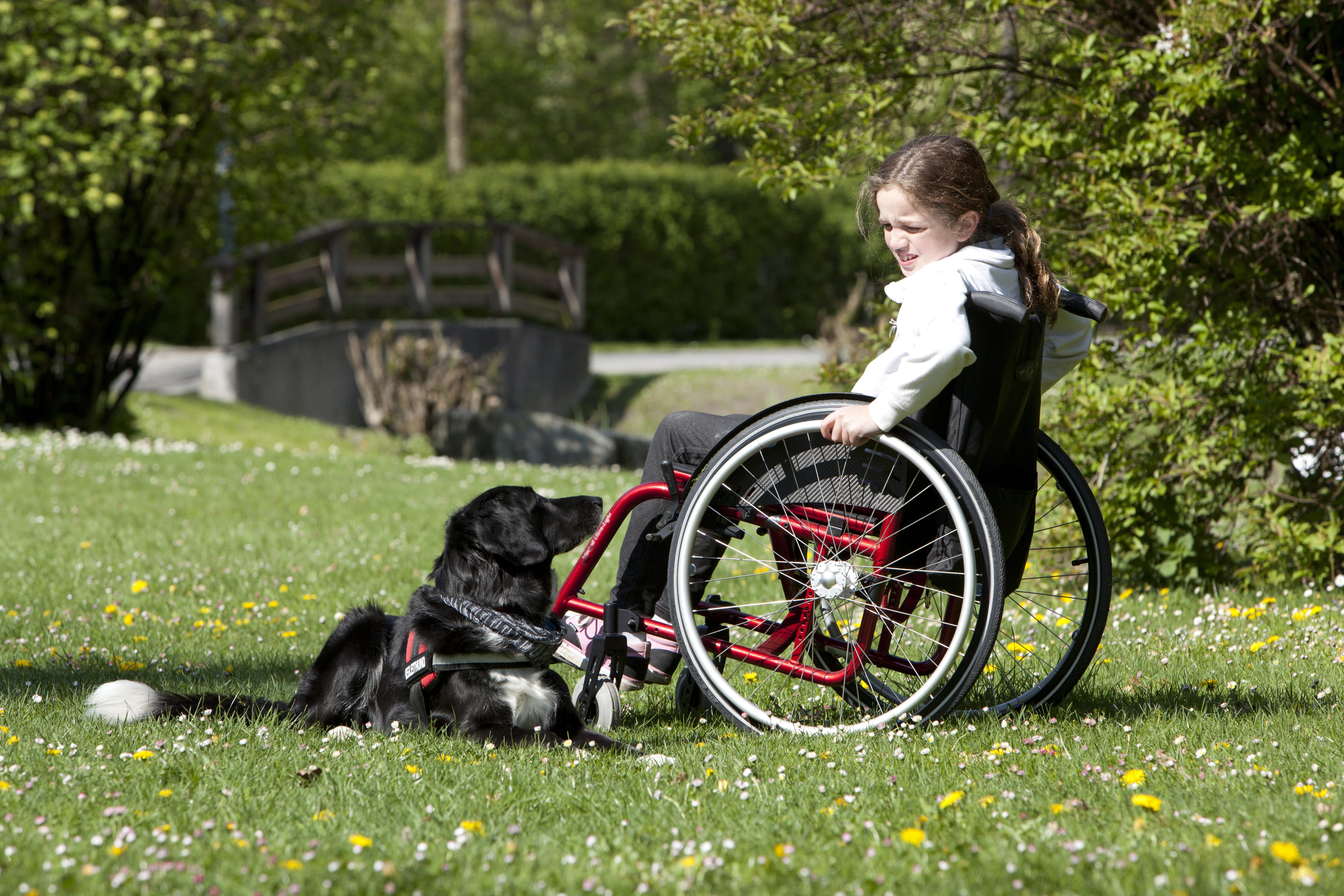 Feature image — When a child sustains a spinal cord injury, the impact on the family and loved ones is often just as traumatic and emotional.