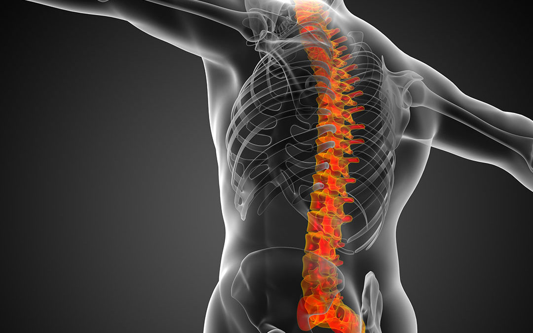 What is a spinal cord injury?