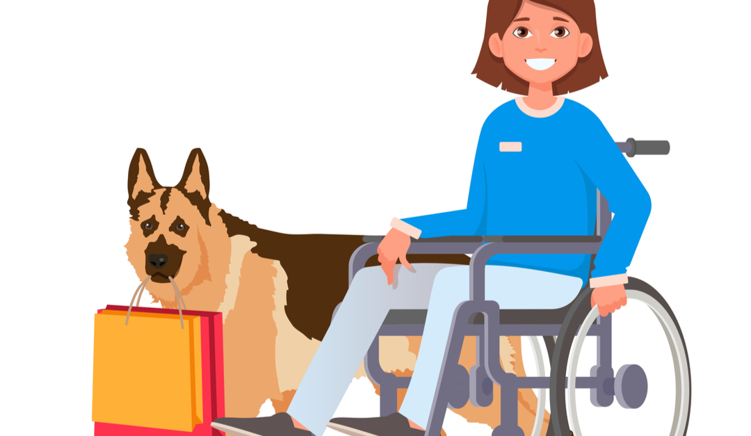 PWD and assistance animals needed for video and photoshoot