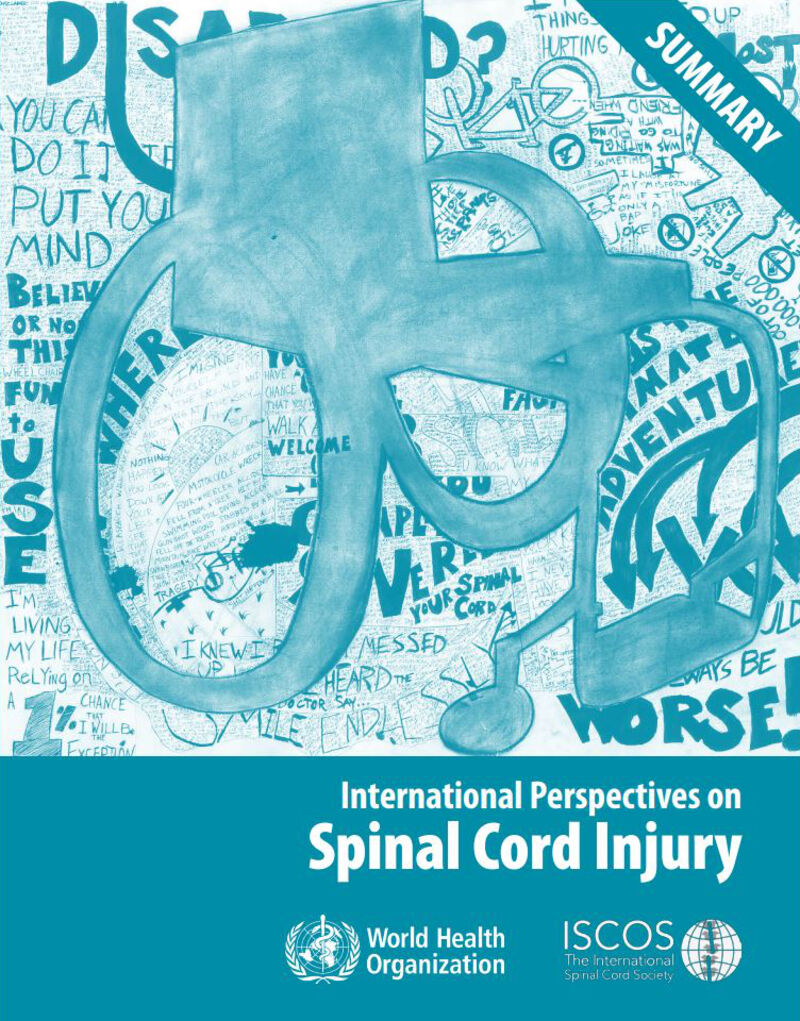 International perspectives on spinal cord injury