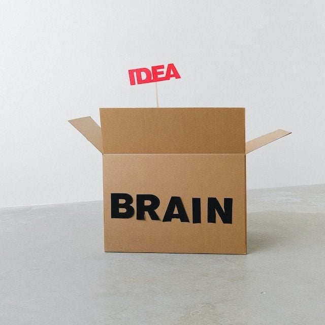 Background about Our Brains