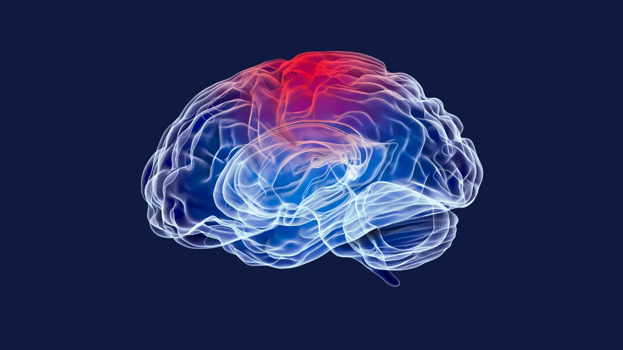 Illustration of a transparent human brain on a dark blue background, with a section near the top highlighted in red to represent inflammation.
