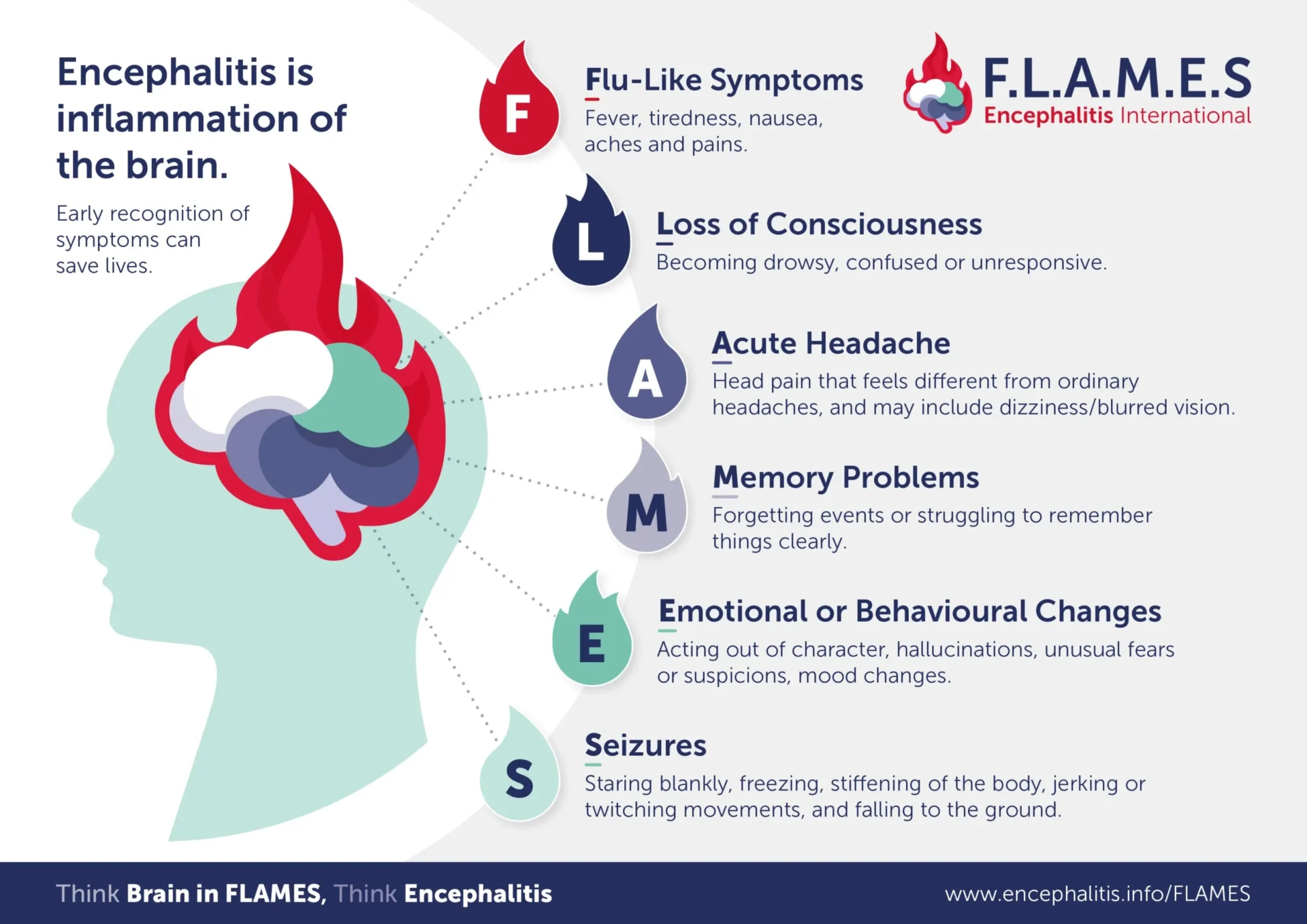 Infographic from Encephalitis International about recognising encephalitis symptoms. The graphic explains that the acronym FLAMES highlights key symptoms: Flu-like symptoms (fever, tiredness, nausea, aches and pains), Loss of consciousness (drowsiness, confusion or unresponsiveness), Acute headache (sometimes with dizziness or blurred vision), Memory problems, Emotional or behavioural changes, and Seizures.